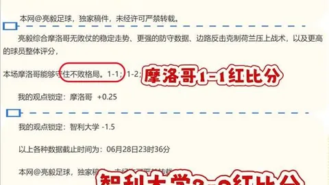 2026阿根廷杯深度解析百家乐攻略：班菲尔德战况，实战比分同步更新